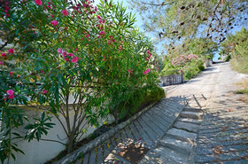 Apartments Tatjana