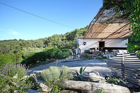 House Tonci