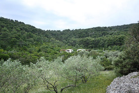 House Tonci