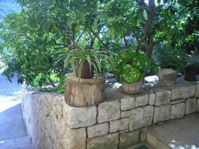 Apartment And Room Padovan