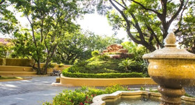 Occidental Royal Oasis Hotel