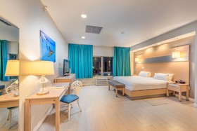 Occidental Royal Oasis Hotel