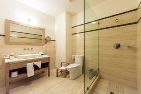 Occidental Royal Oasis Hotel