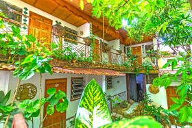 Pacot Breeze