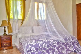 Pacot Breeze