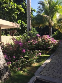 Palm Residence