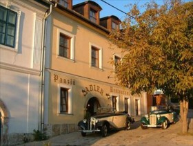 Adler Panzio