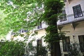 Amber Terrace Studio