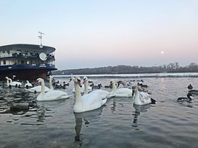Aquamarina