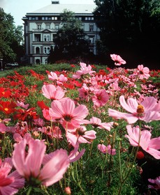 Ensana Grand Margaret Island