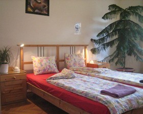 Gaia Hostel