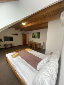 Grand Slam Park Inn