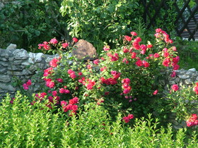 Helios Hotel Pension