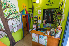 Island Hostel