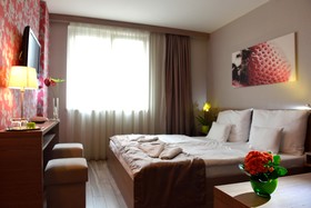 Vitta Hotel Superior