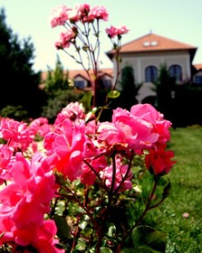 Bodrogi Kuria Wellness Hotel