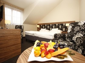 Bodrogi Kuria Wellness Hotel