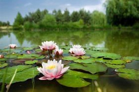 Bodrogi Kuria Wellness Hotel