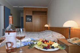 Hotel Helikon