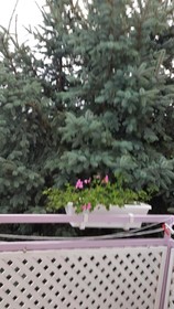 Pension Óvári