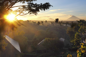 Bagus Agro Pelaga