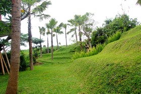 North Wing Canggu Resort by OYO