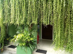 Purnama House Kuta