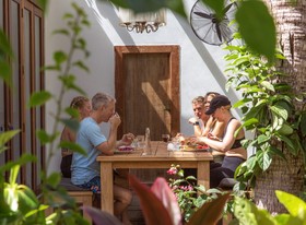 Seed Gardens