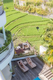Seed Gardens