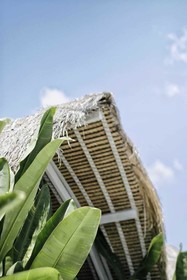 White Palm Hotel Bali