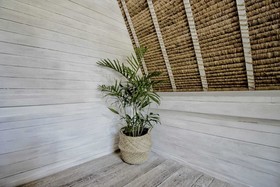 White Palm Hotel Bali