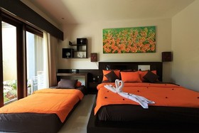 Villa Twin Lovina