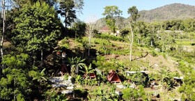Dong Losog Camping Lodge And Resto