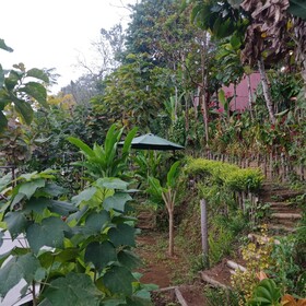 Dong Losog Camping Lodge And Resto