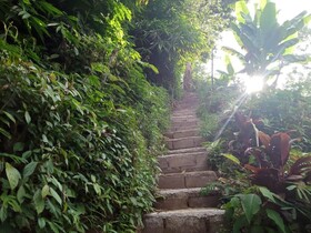 Dong Losog Camping Lodge And Resto
