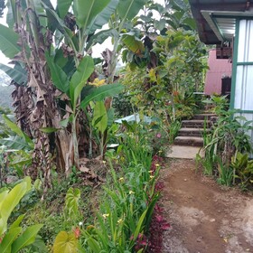 Dong Losog Camping Lodge And Resto