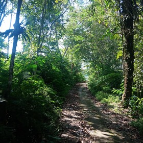 Dong Losog Camping Lodge And Resto