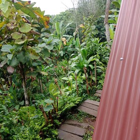 Dong Losog Camping Lodge And Resto