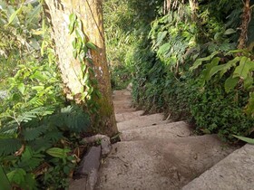 Dong Losog Camping Lodge And Resto