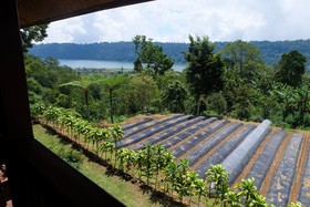 Secret Lodge Bedugul by Taritiya Collection
