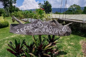 Secret Lodge Bedugul by Taritiya Collection