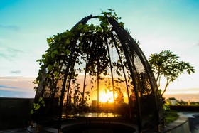 The Nest Hotel