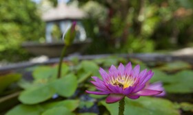 Bayshore Villas Candidasa