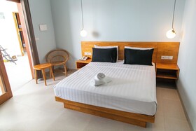 Coco & Pineapple Pants Hostel