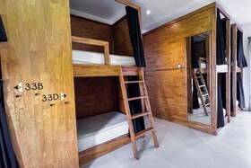 Coco & Pineapple Pants Hostel