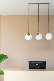 Coco & Pineapple Pants Hostel