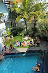 Coco & Pineapple Pants Hostel