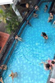 Coco & Pineapple Pants Hostel