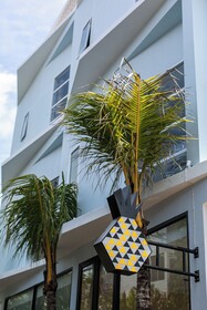 Coco & Pineapple Pants Hostel