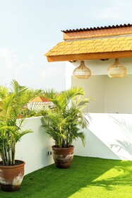 Coco & Pineapple Pants Hostel